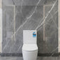 Tidy Tornado Quiet Rimless Two Piece Toilet